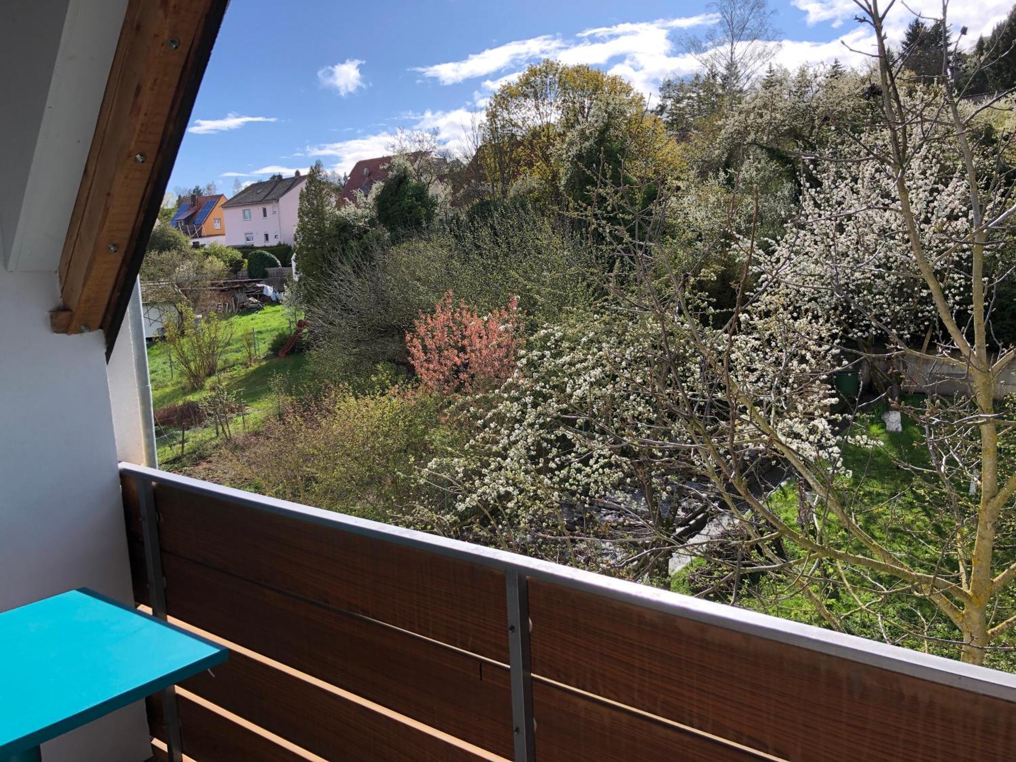 Blaues Zimmer Mit Grossem Balkon, Bad Ist Ein Traum, 50 Schritte Zum Radweg Am Main,Ideal For Short Stay Mainstockheim Εξωτερικό φωτογραφία