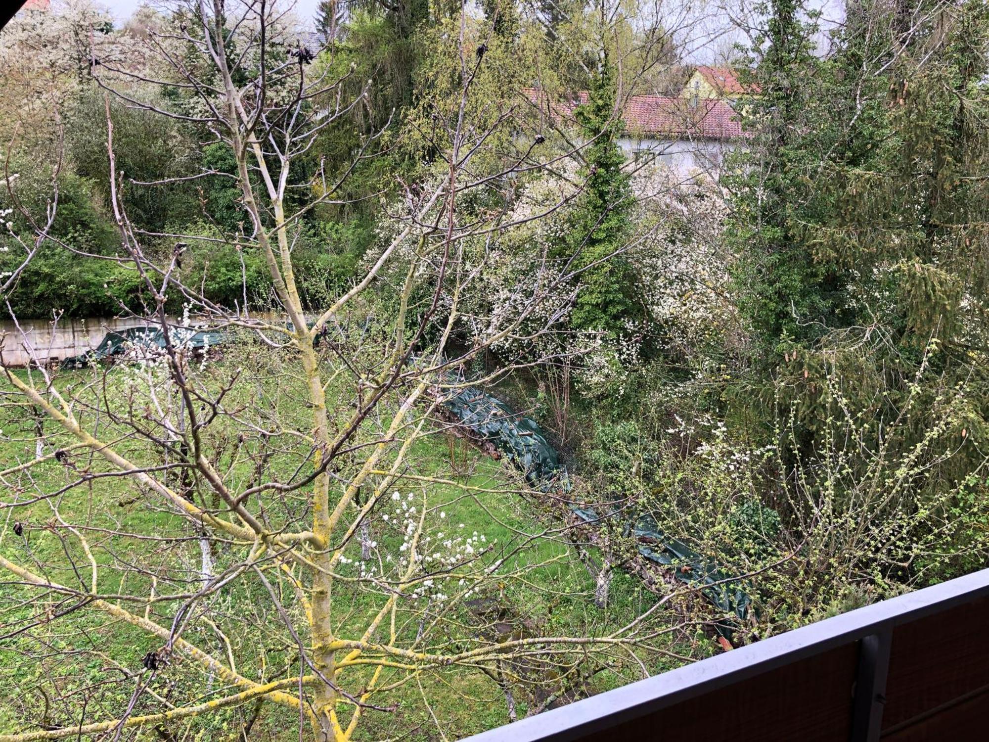 Blaues Zimmer Mit Grossem Balkon, Bad Ist Ein Traum, 50 Schritte Zum Radweg Am Main,Ideal For Short Stay Mainstockheim Εξωτερικό φωτογραφία